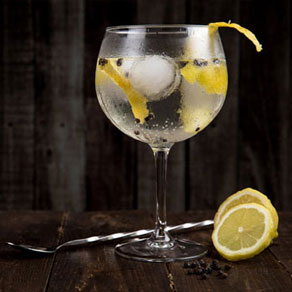 Gin Tonic